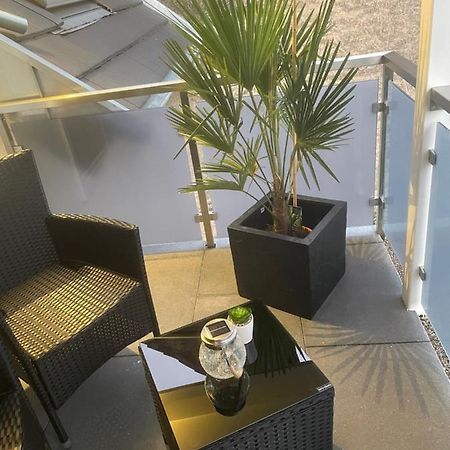 Ferienwohnungen Im Palmengarten - 40 Qm Heitersheim Zewnętrze zdjęcie