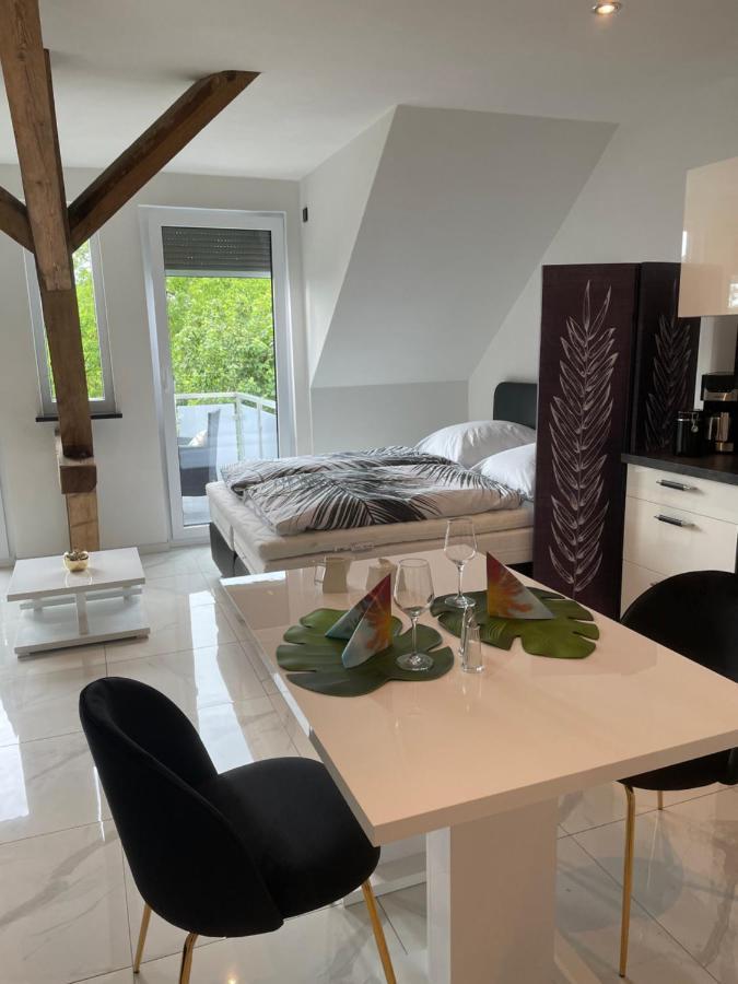 Ferienwohnungen Im Palmengarten - 40 Qm Heitersheim Zewnętrze zdjęcie